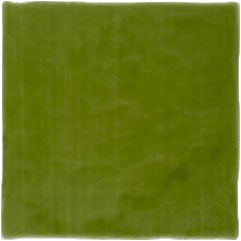 ARANDA VERDE, 13x13 см