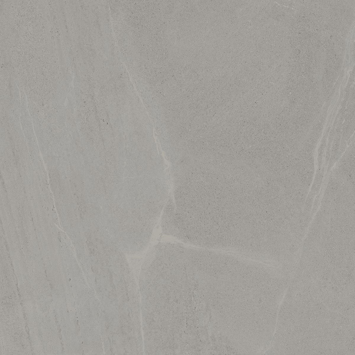 SEINE-R GRIS ANTIDESLI, 120x120 см