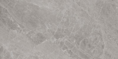 FLYSCH-SPR GRIS, 59.3x119.3 см